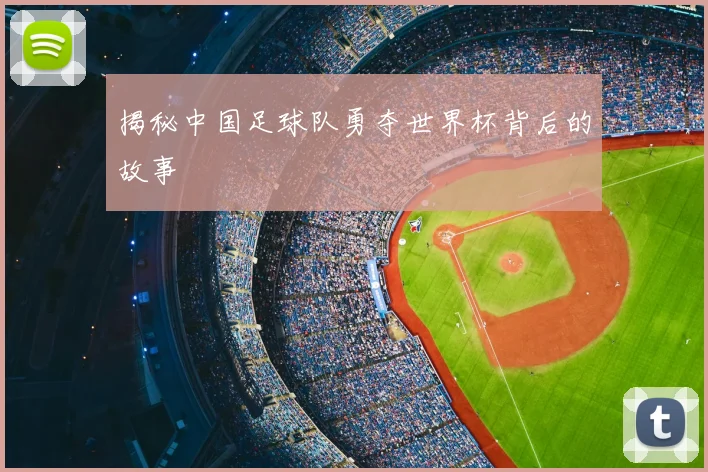 揭秘中国足球队勇夺世界杯背后的故事